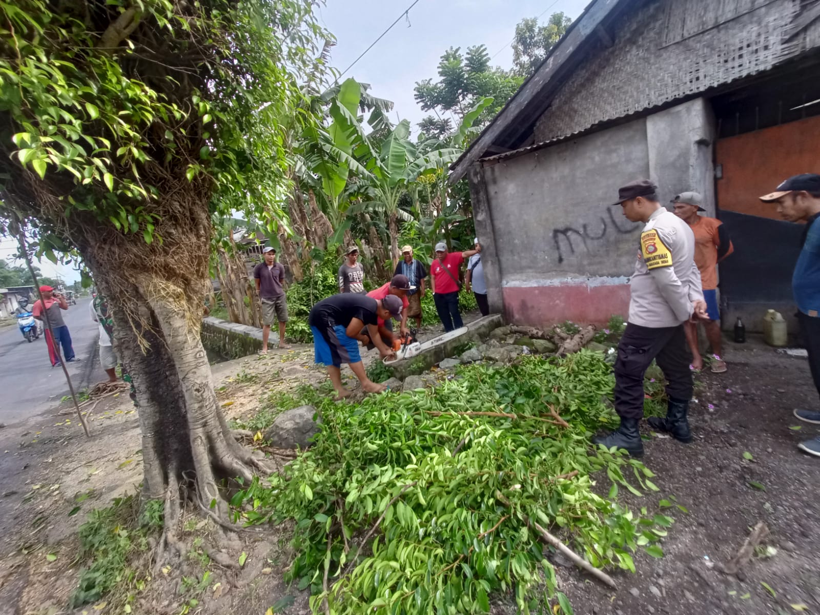 Pemdes Jagaraga Indah bersama TNI-Polri dan Warga Gotong Royong Lakukan Pemangkasan Pohon