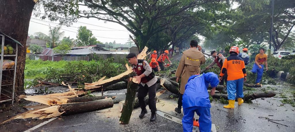 Polres Lombok Barat Respon Cepat Evakuasi Pohon Tumbang di Wilayahnya pada Lima Lokasi
