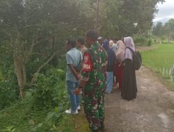 Antisipasi Serangan Hama Belalang, Babinsa Saribaye Bersama Petugas Pusat Studi Provinsi NTB Cek Area Persawahan